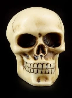 Totenkopf Schaltknauf - Knochenfarben