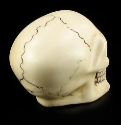 Totenkopf Schaltknauf - Knochenfarben -Modell Und Figurengeschäft 10870 4 skull gear knob 4 1280x1280