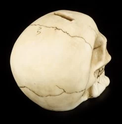 Totenkopf Spardose - Gieriges Lachen -Modell Und Figurengeschäft 11355 2 spardose 2 1280x1280