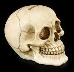 Totenkopf Spardose - Gieriges Lachen -Modell Und Figurengeschäft 11355 3 spardose 3 1280x1280