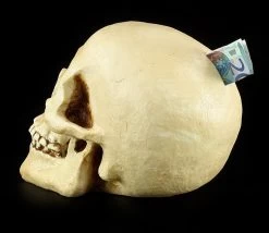 Totenkopf Spardose - Menschen Schädel -Modell Und Figurengeschäft 11521 4 human skull 4 1280x1280