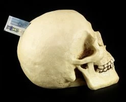 Totenkopf Spardose - Menschen Schädel -Modell Und Figurengeschäft 11521 6 human skull 6 1280x1280