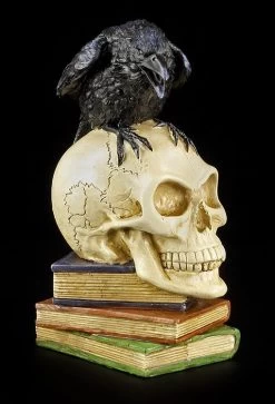 Alchemy The Vault - Rabe Auf Totenkopf - Poes Raven 13 Alchemy The Vault - Rabe Auf Totenkopf - Poes Raven -Modell Und Figurengeschäft 11545 5 poes raven 5 1280x1280