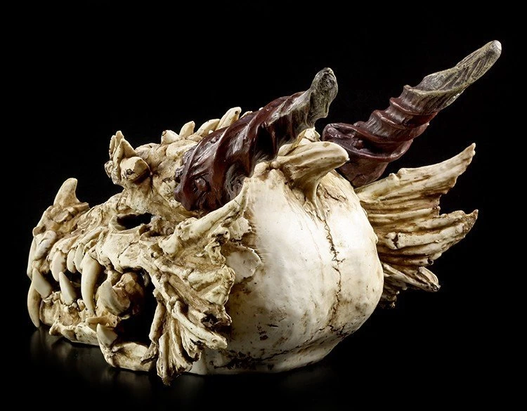 Riesen-Drachenschädel 2 Riesen-Drachenschädel – Bild 2