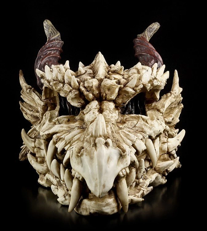 Riesen-Drachenschädel 3 Riesen-Drachenschädel – Bild 3