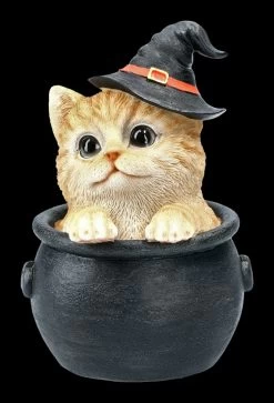 Tabby Hexen-Katze In Kessel