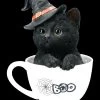 Schwarze Hexen-Katze In Tasse