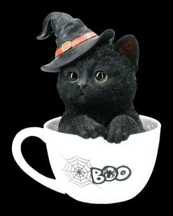 Schwarze Hexen-Katze In Tasse