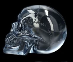 Durchsichtiger Totenkopf - Hellblau -Modell Und Figurengeschäft 2D Ersatzbbilder FS14531 13 1280x1280