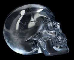 Durchsichtiger Totenkopf - Hellblau -Modell Und Figurengeschäft 2D Ersatzbbilder FS14531 15 1280x1280