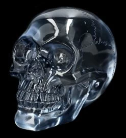 Durchsichtiger Totenkopf - Hellblau -Modell Und Figurengeschäft 2D Ersatzbbilder FS14531 17 1280x1280