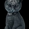 NEMESIS NOW Okkulte Katzenfigur Mit Hörnern - Pawzuph