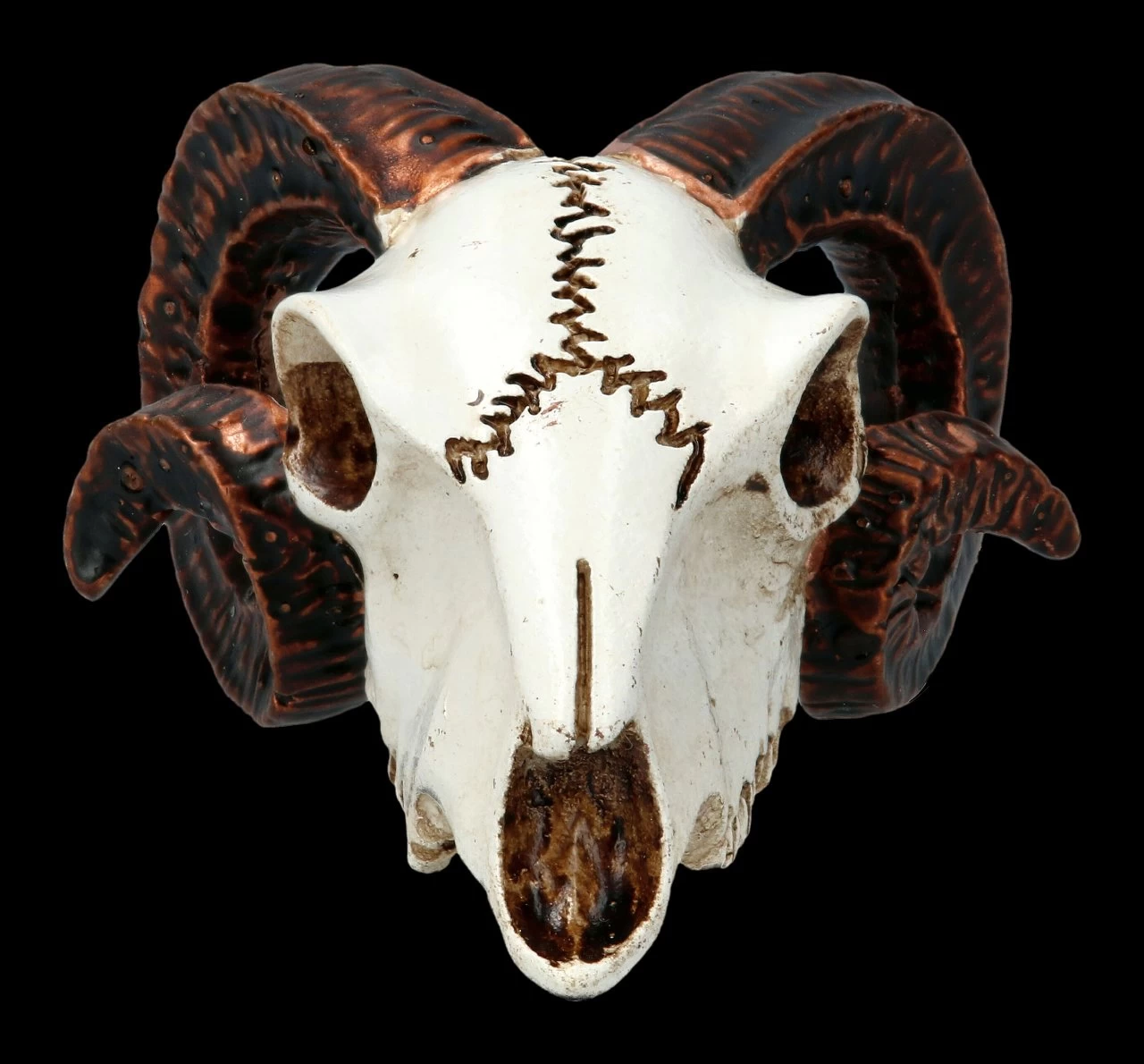 Alchemy Widderschädel - Klein 6 Alchemy Widderschädel - Klein – Bild 6