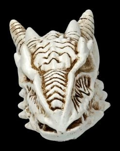 Alchemy Drachen Schädel - Klein -Modell Und Figurengeschäft 2D FS21902 Alchemy Drachen Schaedel klein 2 1280x1280