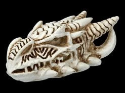 Alchemy Drachen Schädel - Klein -Modell Und Figurengeschäft 2D FS21902 Alchemy Drachen Schaedel klein 3 1280x1280