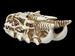 Alchemy Drachen Schädel - Klein -Modell Und Figurengeschäft 2D FS21902 Alchemy Drachen Schaedel klein 4 1280x1280