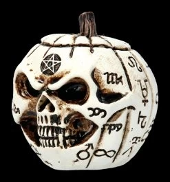 Alchemy Kürbis Schädel - Klein -Modell Und Figurengeschäft 2D FS21903 Alchemy Kuerbis Schaedel klein 4 1280x1280