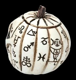 Alchemy Kürbis Schädel - Klein -Modell Und Figurengeschäft 2D FS21903 Alchemy Kuerbis Schaedel klein 5 1280x1280