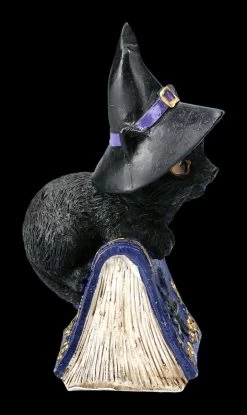 Kleine Hexenkatzen Figur - Pocus -Modell Und Figurengeschäft 2D FS22368 Kleine Hexenkatzen Figur Pocus 5ms0DXjl7RRuTF 1280x1280