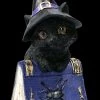 Kleine Hexenkatzen Figur - Pocus