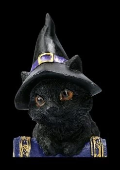 Kleine Hexenkatzen Figur - Pocus -Modell Und Figurengeschäft 2D FS22368 Kleine Hexenkatzen Figur Pocus 8bSWerpYfOFHLV 1280x1280