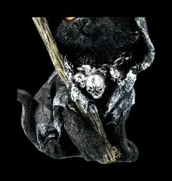 Kleine Katzen Figur - Reaper Amara 15 Kleine Katzen Figur - Reaper Amara -Modell Und Figurengeschäft 2D FS22370 Kleine Katzen Figur Reaper Amara 7FL1TpbFoYNJ5R 1280x1280