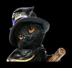 Kleine Hexenkatzen Figur - Tabitha -Modell Und Figurengeschäft 2D FS22371 Kleine Hexenkatzen Figur Tabitha 6 1280x1280