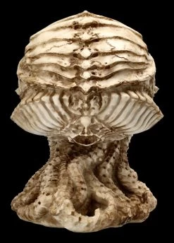 Cthulhu Totenkopf Figur By James Ryman 14 Cthulhu Totenkopf Figur By James Ryman -Modell Und Figurengeschäft 2D FS22466 Cthulhu Totenkopf Figur by James Ryman 4 1280x1280