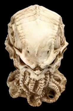 Cthulhu Totenkopf Figur By James Ryman 17 Cthulhu Totenkopf Figur By James Ryman -Modell Und Figurengeschäft 2D FS22466 Cthulhu Totenkopf Figur by James Ryman 9 1280x1280