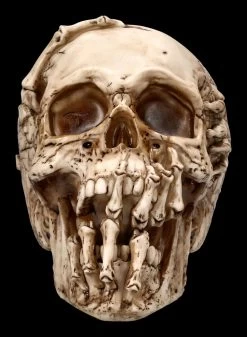 Totenkopf Figur - Breaking Out By James Ryman -Modell Und Figurengeschäft 2D FS22481 Totenkopf Figur Breaking Out by James Ryman 1 1280x1280