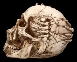 Totenkopf Figur - Breaking Out By James Ryman -Modell Und Figurengeschäft 2D FS22481 Totenkopf Figur Breaking Out by James Ryman 2 1280x1280