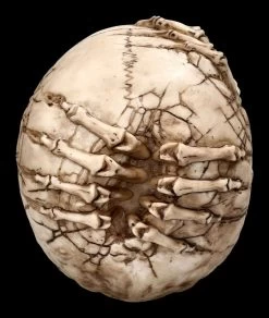 Totenkopf Figur - Breaking Out By James Ryman -Modell Und Figurengeschäft 2D FS22481 Totenkopf Figur Breaking Out by James Ryman 3 1280x1280