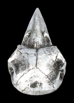 Handspiegel - Rabenschädel Silberfarben 13 Handspiegel - Rabenschädel Silberfarben -Modell Und Figurengeschäft 2D FS22640 Handspiegel Rabenschaedel silberfarben 5 1280x1280