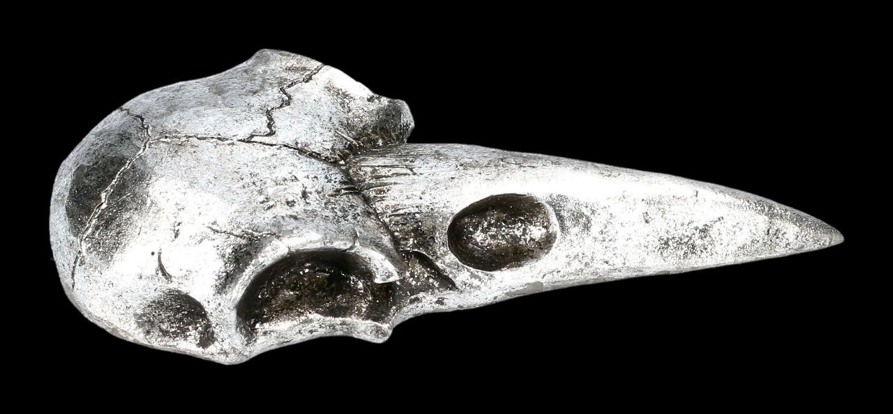 Handspiegel - Rabenschädel Silberfarben 4 Handspiegel - Rabenschädel Silberfarben – Bild 4