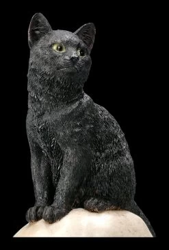 Katzen Figur Auf Schädel 14 Katzen Figur Auf Schädel -Modell Und Figurengeschäft 2D FS22896 Katzen Figur auf Sch del Familiar Fate 8 1280x1280