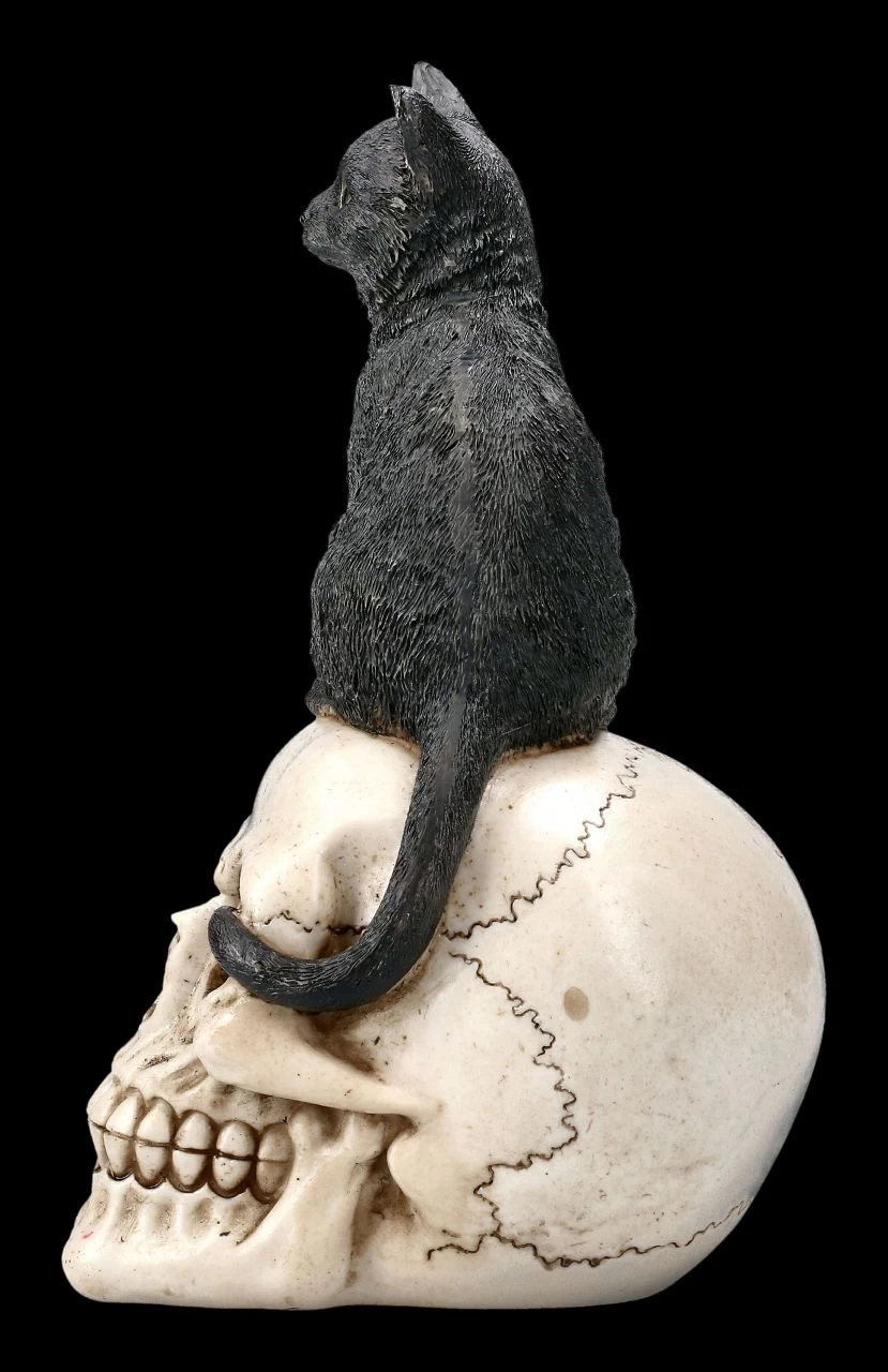 Katzen Figur Auf Schädel 4 Katzen Figur Auf Schädel – Bild 4