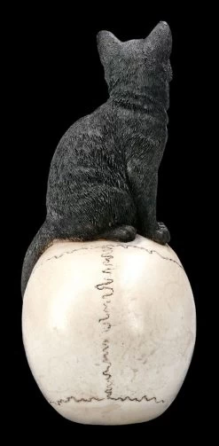 Katzen Figur Auf Schädel 12 Katzen Figur Auf Schädel -Modell Und Figurengeschäft 2D FS22896 Katzen Figur auf Schadel Familiar Fate 3 1280x1280