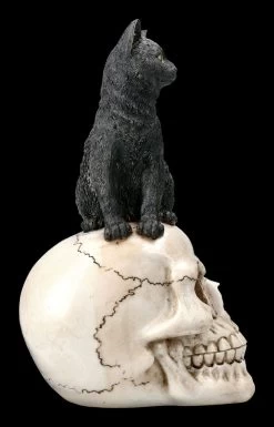 Katzen Figur Auf Schädel 13 Katzen Figur Auf Schädel -Modell Und Figurengeschäft 2D FS22896 Katzen Figur auf Schadel Familiar Fate 4 1280x1280