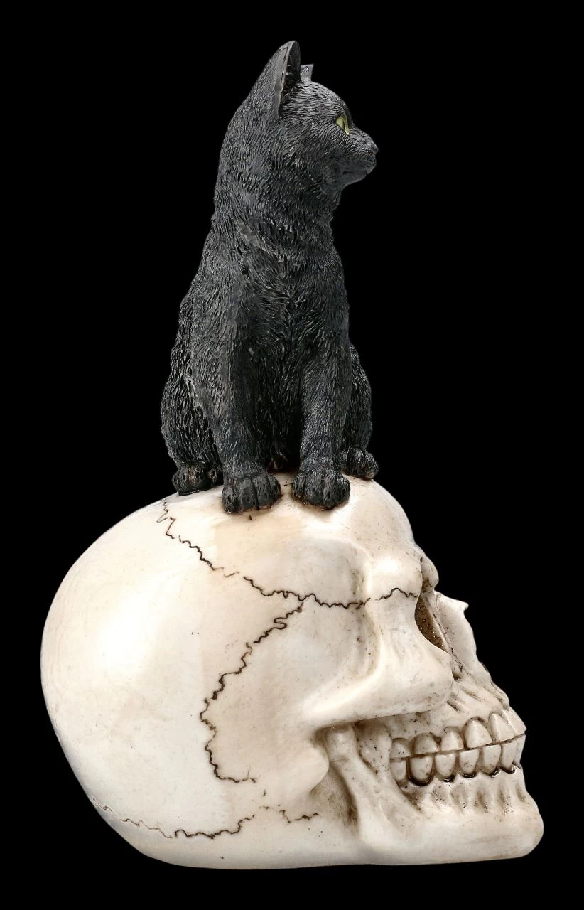 Katzen Figur Auf Schädel 6 Katzen Figur Auf Schädel – Bild 6