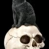 Katzen Figur Auf Schädel
