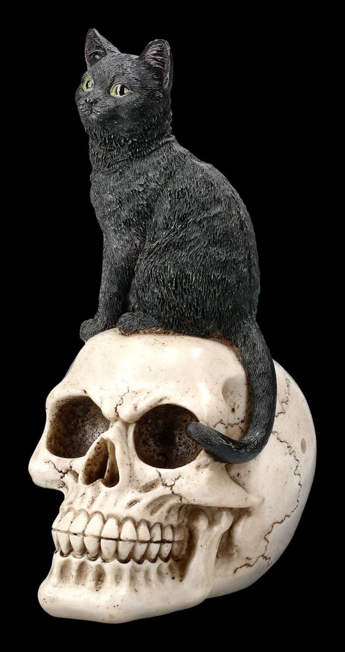 Katzen Figur Auf Schädel 3 Katzen Figur Auf Schädel – Bild 3