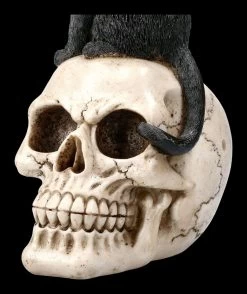 Katzen Figur Auf Schädel 15 Katzen Figur Auf Schädel -Modell Und Figurengeschäft 2D FS22896 Katzen Figur auf Schadel Familiar Fate 7 1280x1280