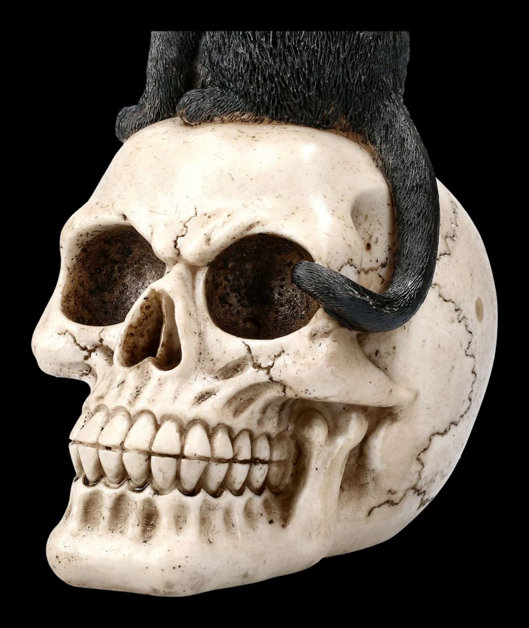 Katzen Figur Auf Schädel 8 Katzen Figur Auf Schädel – Bild 8