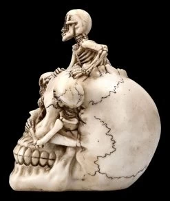 Totenkopf Mit Skeletten - Breaking Free 11 Totenkopf Mit Skeletten - Breaking Free -Modell Und Figurengeschäft 2D FS22897 Totenkopf mit Skeletten Breaking Free 2 1280x1280