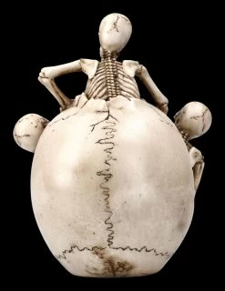 Totenkopf Mit Skeletten - Breaking Free 12 Totenkopf Mit Skeletten - Breaking Free -Modell Und Figurengeschäft 2D FS22897 Totenkopf mit Skeletten Breaking Free 3 1280x1280