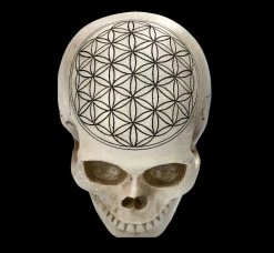 Totenkopf - Heilige Geometrie - Blume Des Lebens -Modell Und Figurengeschäft 2D FS23021 Totenkopf Heilige Geometrie Blume des Lebens 11 1280x1280
