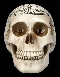 Totenkopf - Heilige Geometrie - Blume Des Lebens -Modell Und Figurengeschäft 2D FS23021 Totenkopf Heilige Geometrie Blume des Lebens 2 1280x1280