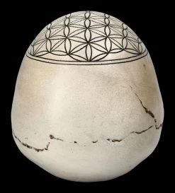 Totenkopf - Heilige Geometrie - Blume Des Lebens -Modell Und Figurengeschäft 2D FS23021 Totenkopf Heilige Geometrie Blume des Lebens 4 1280x1280