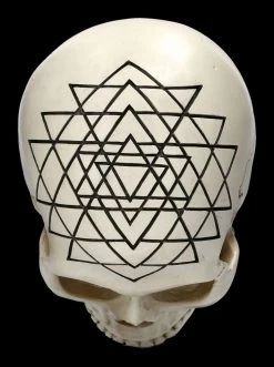 Totenkopf - Heilige Geometrie - Yantra -Modell Und Figurengeschäft 2D FS23022 Totemkopf Heilige Geometrie Metatrons Wurfel 10 1280x1280