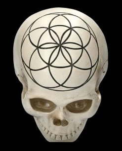 Totenkopf - Heilige Geometrie - Samen Des Lebens -Modell Und Figurengeschäft 2D FS23023 Totenkopf Heilige Geometrie Samen des Lebens 7 1280x1280